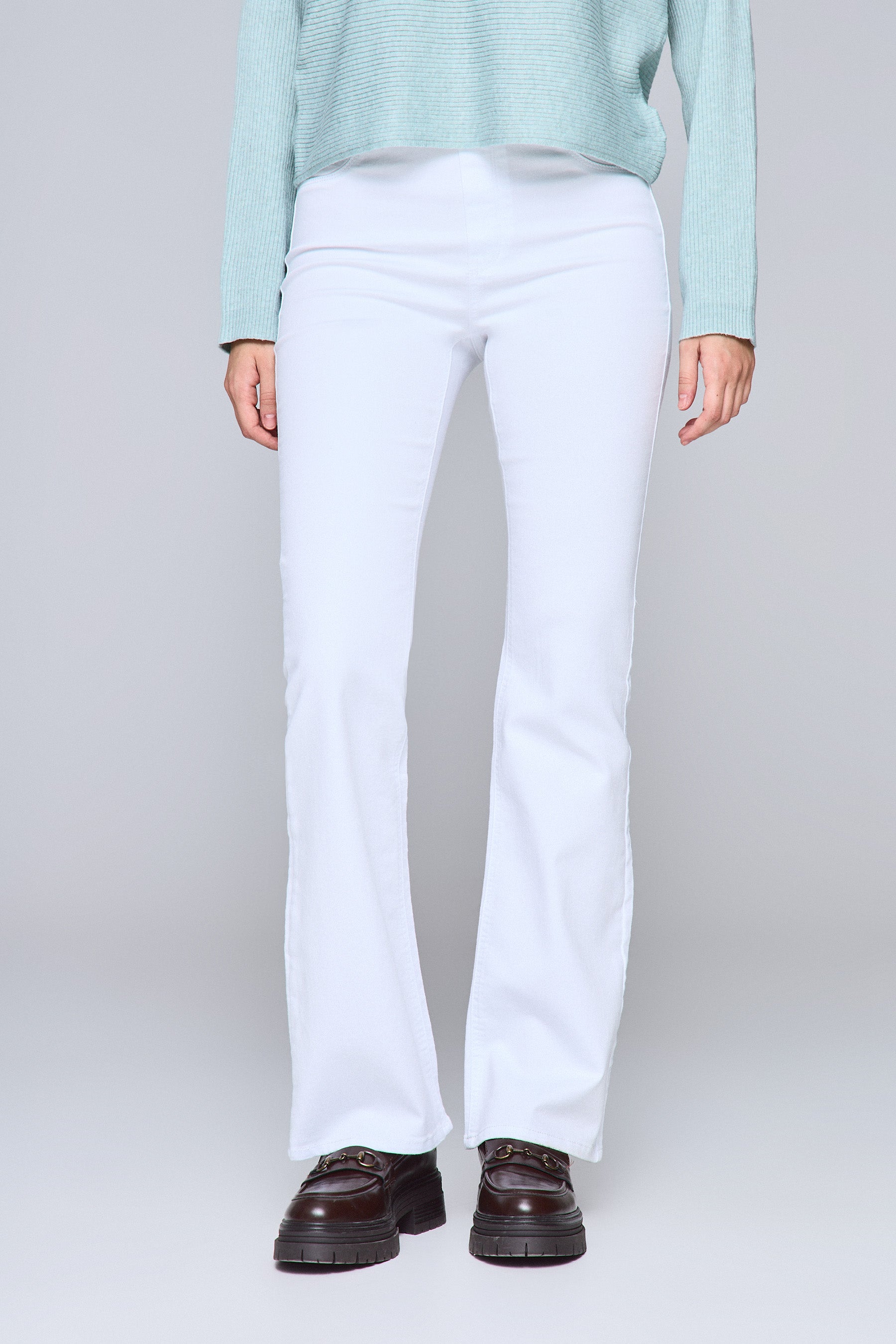 טייץ פדלאפון