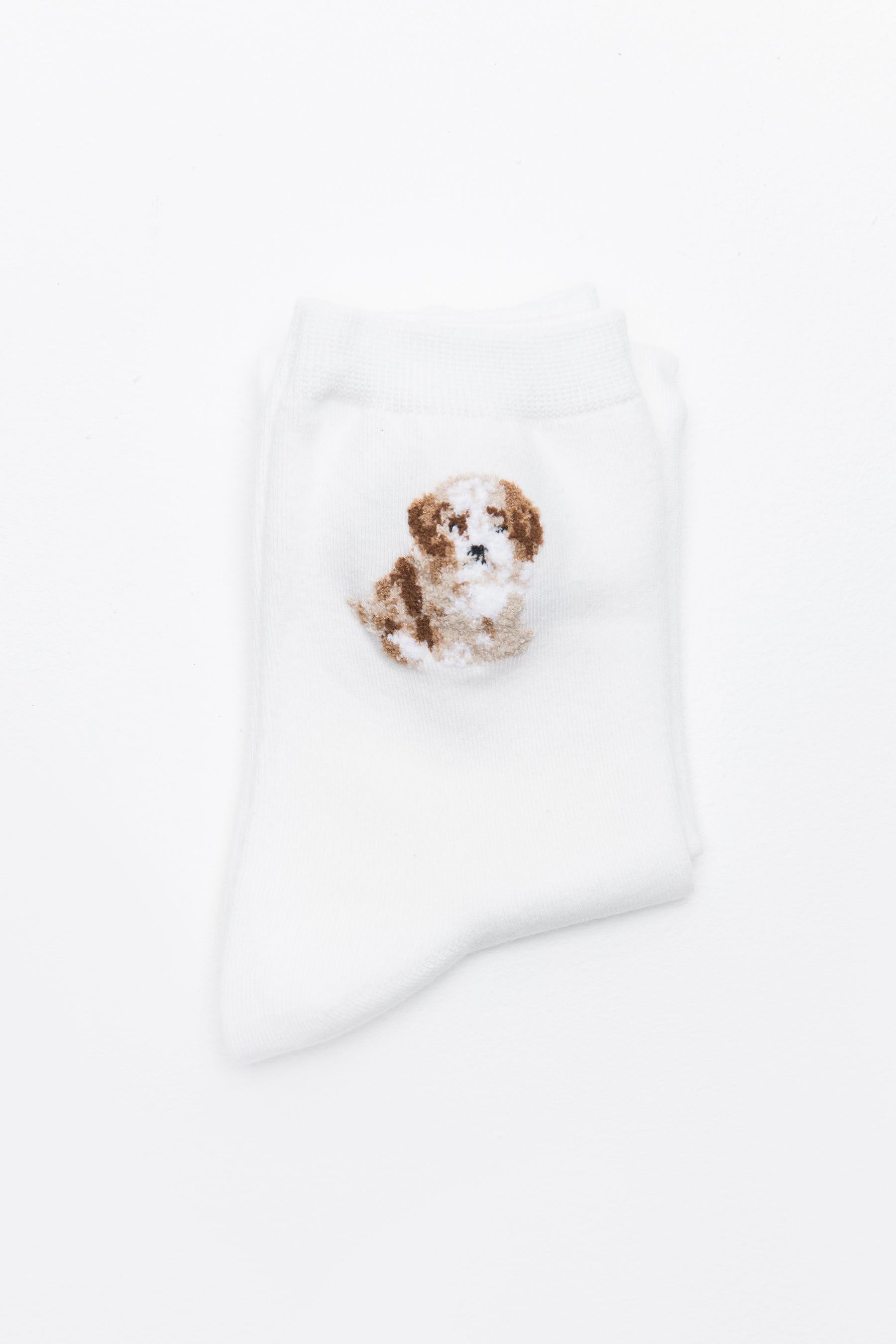 PUPPY -זוג גרביים