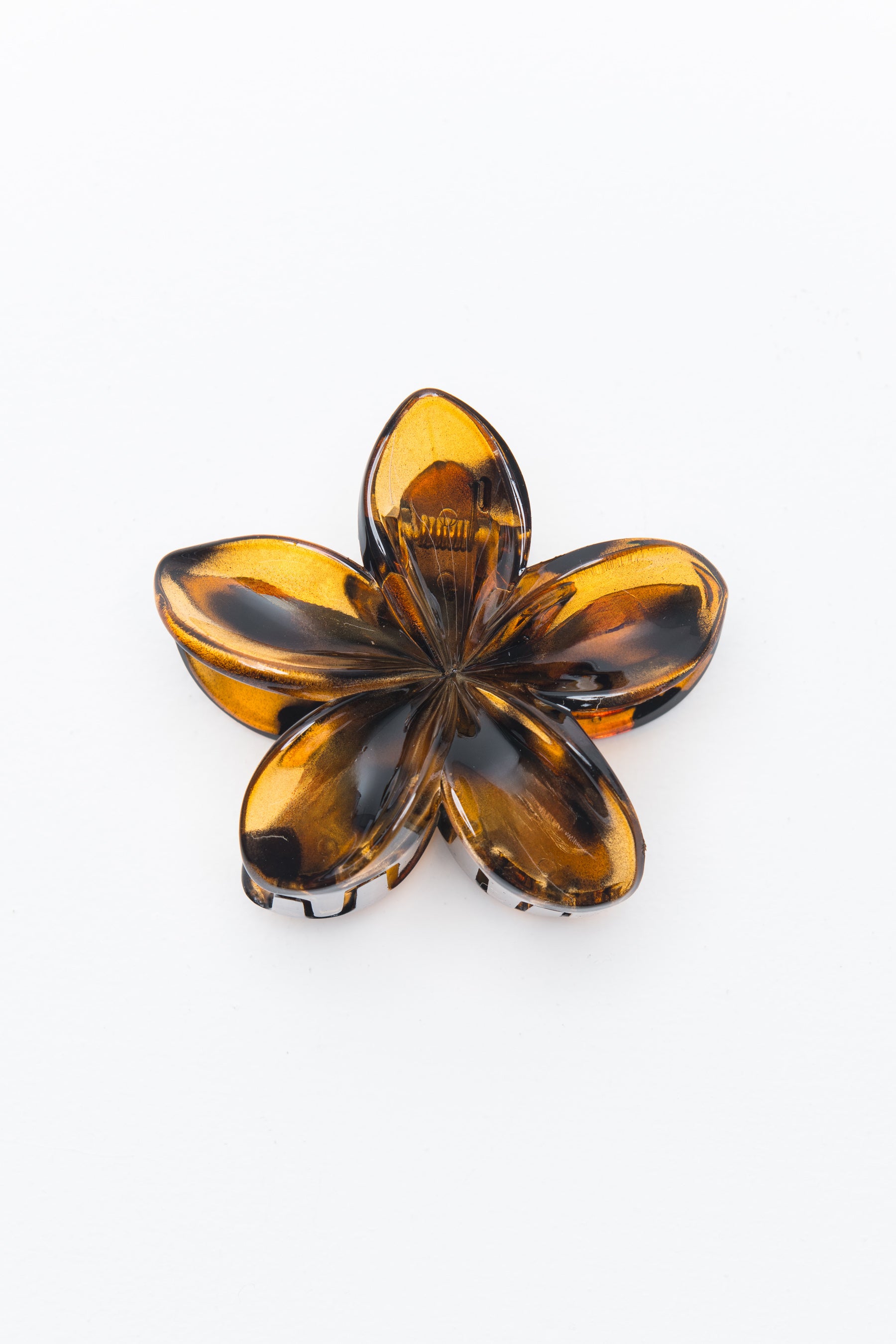 קליפס הוואי