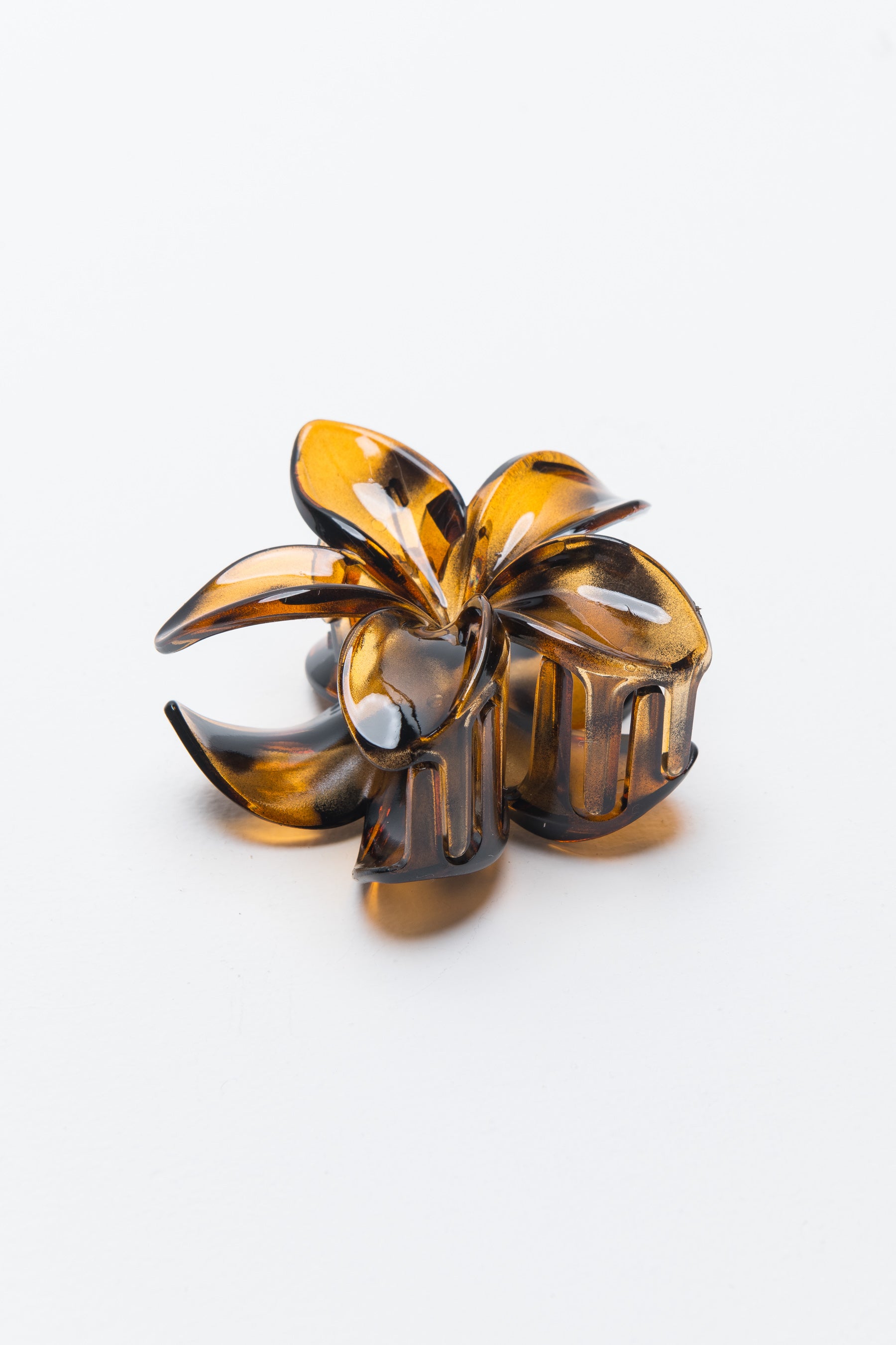 קליפס הוואי