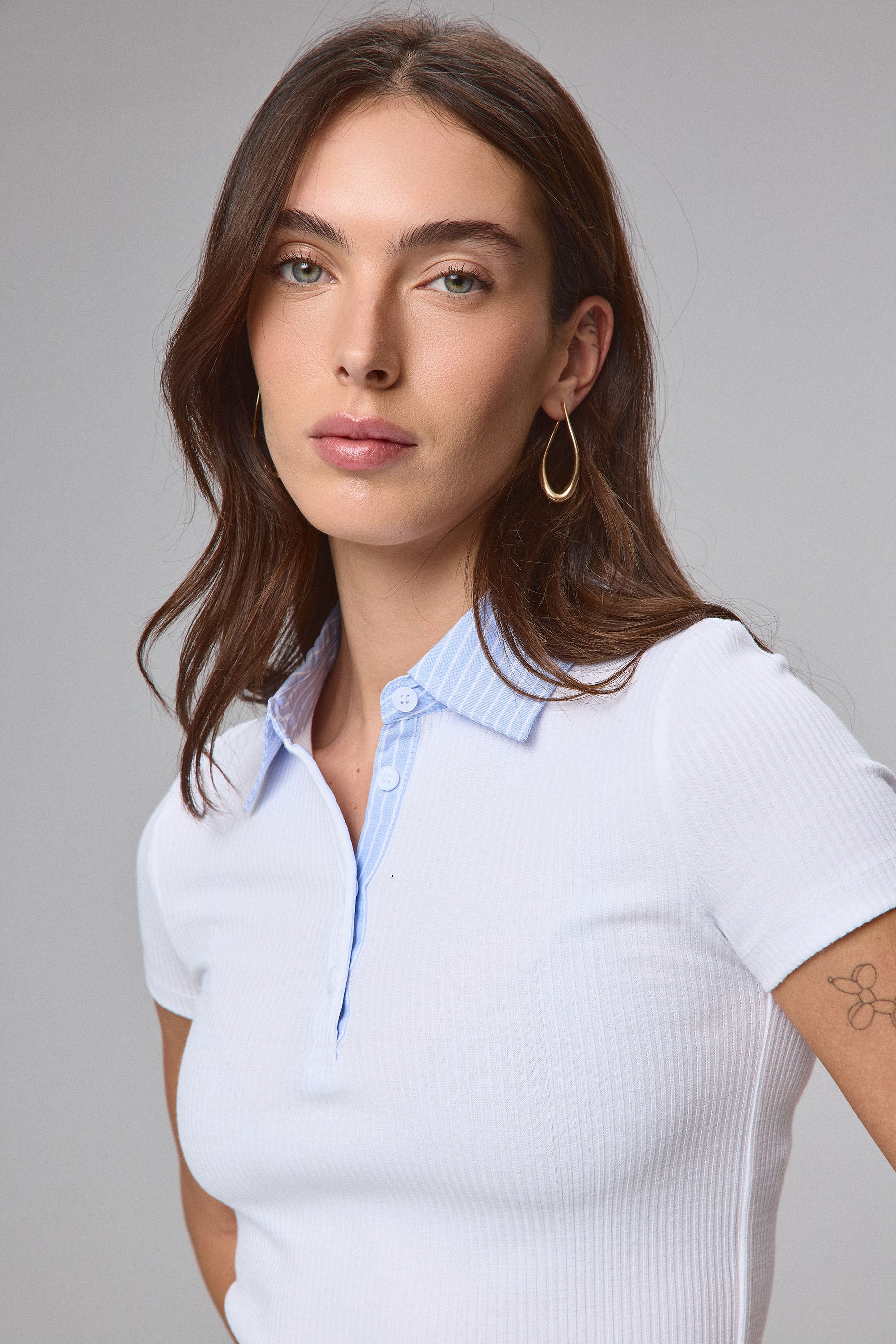 פולו מחויטת