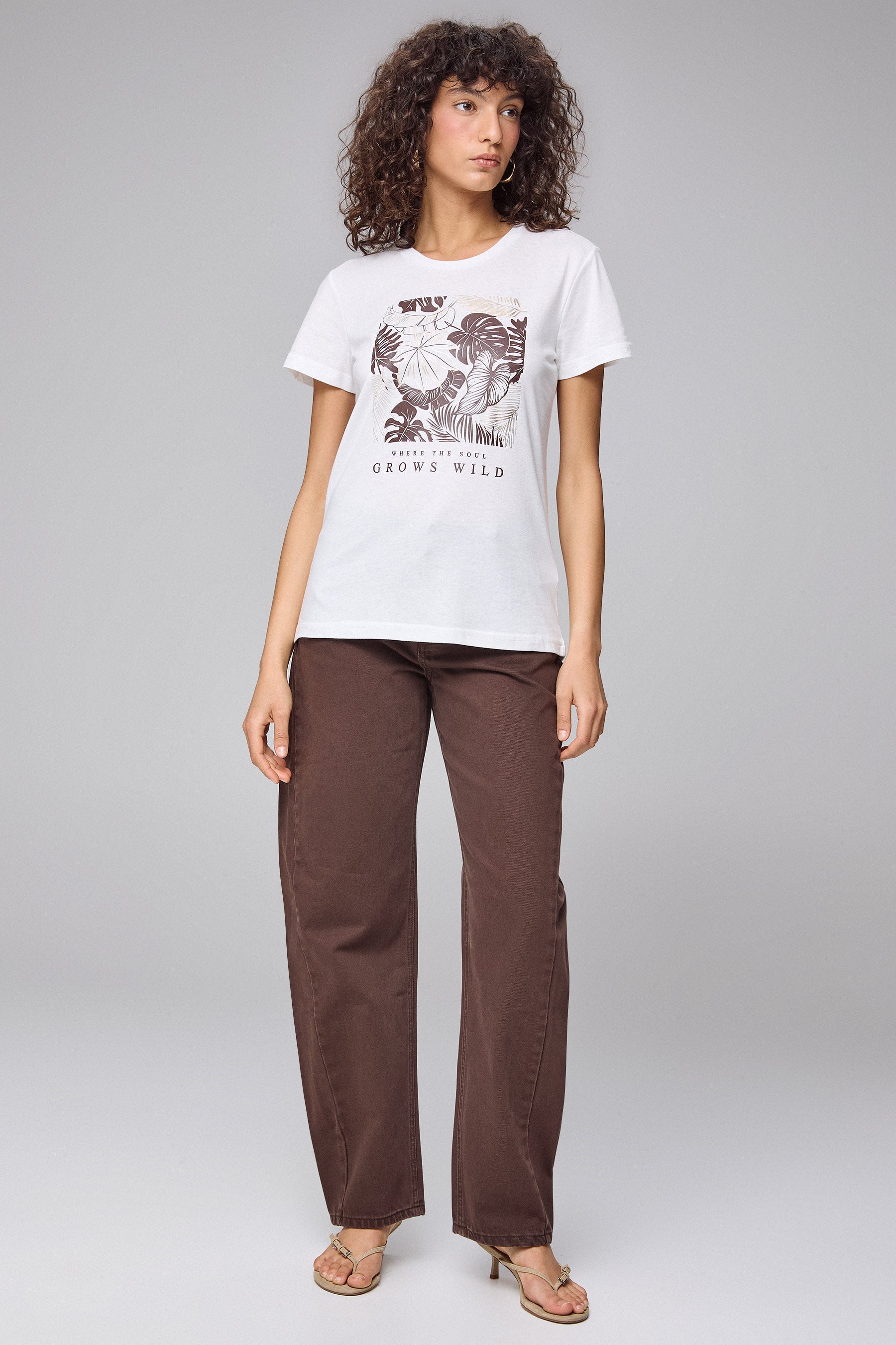 לורי פאנל טרופי