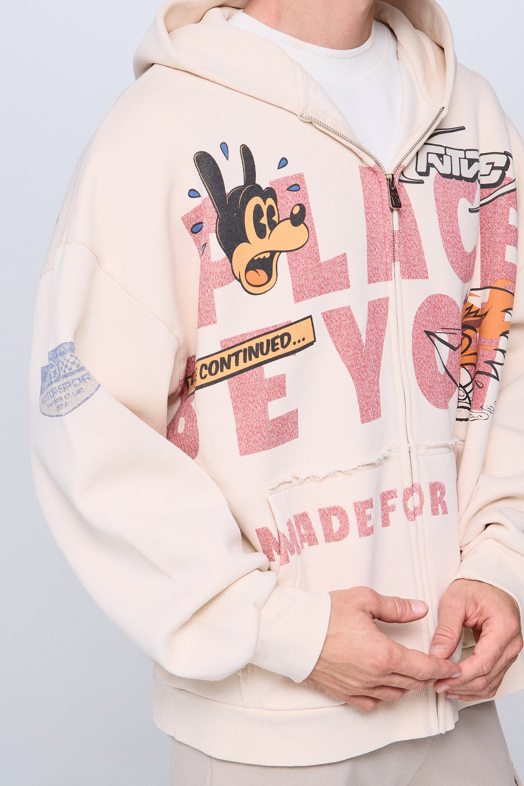 קרדיגן דיסנילנד