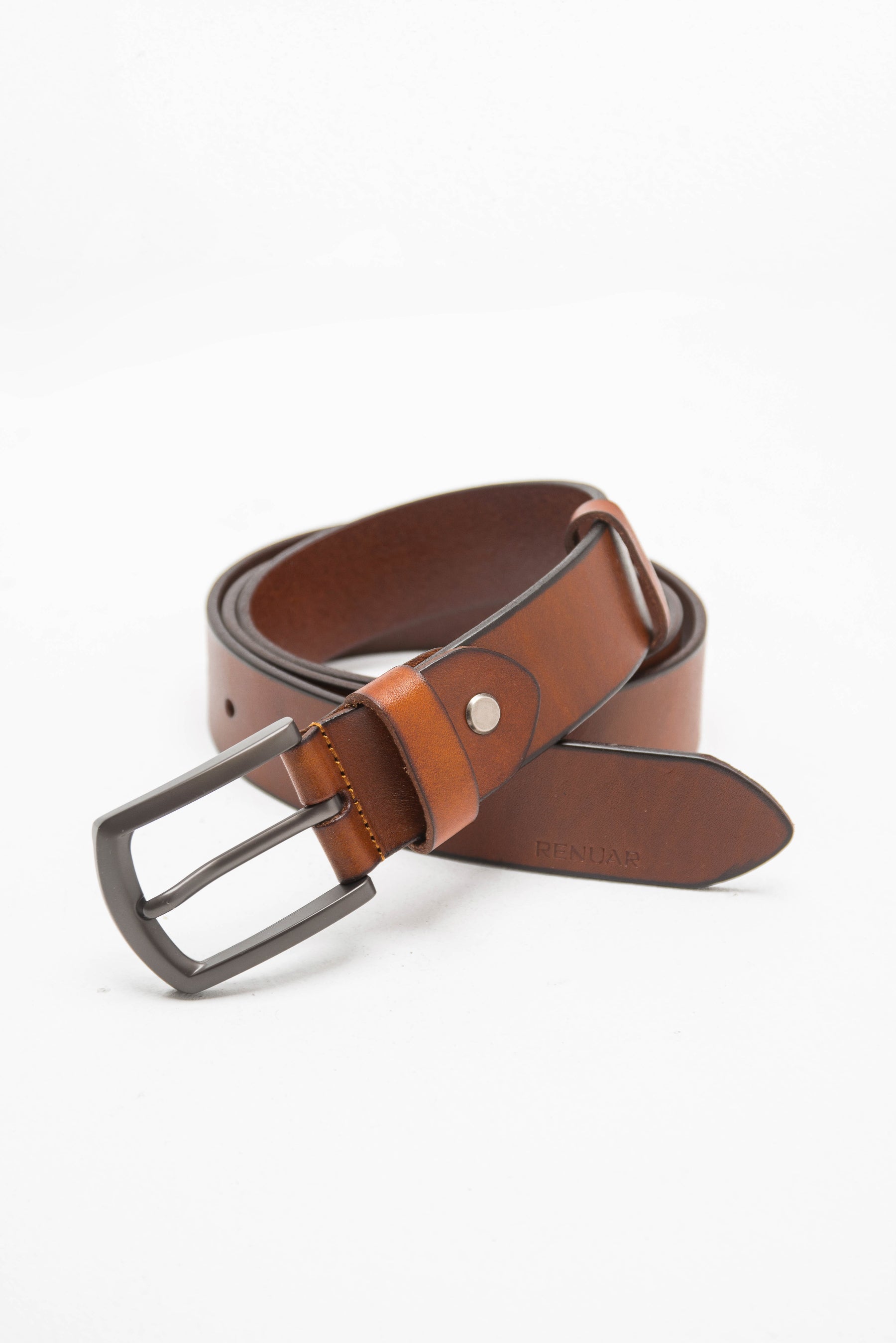 חגורת הדסון