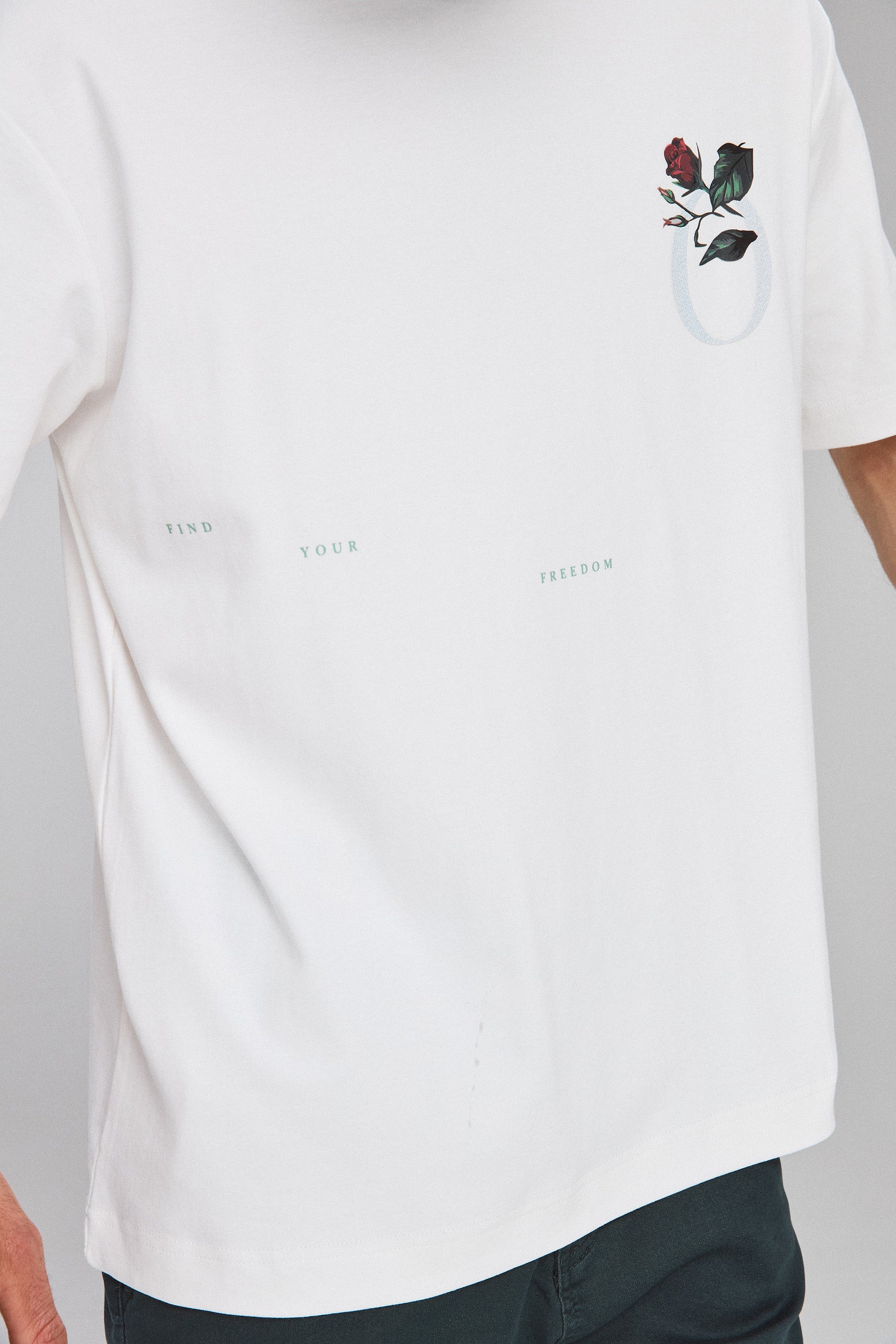 טי רד פרינס