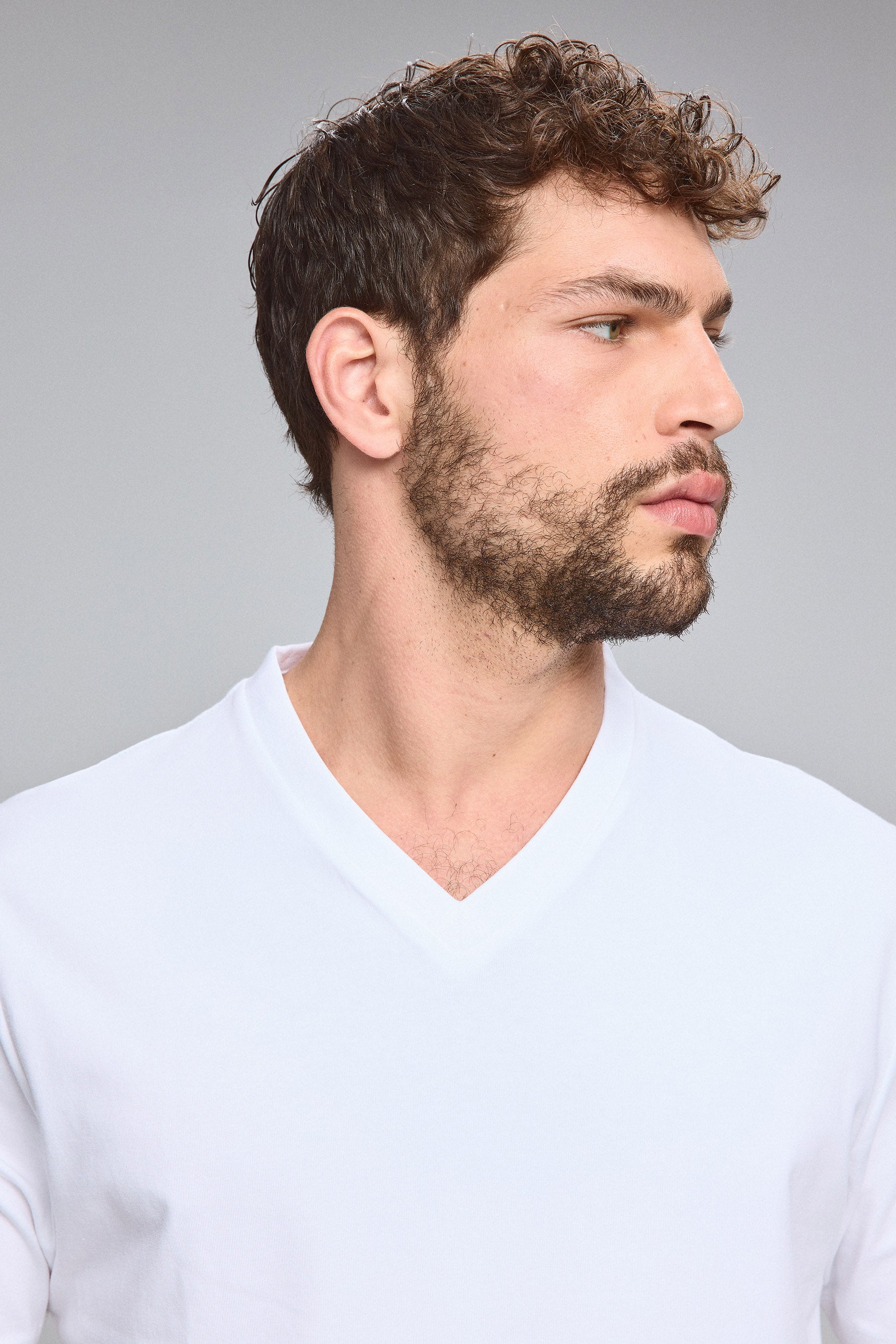 טי בייסיק ווי לייקרה