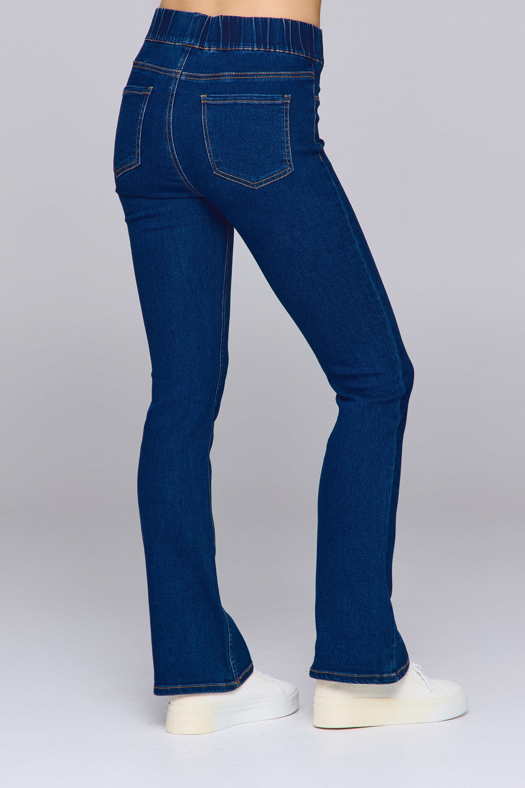 טייץ פדלאפון