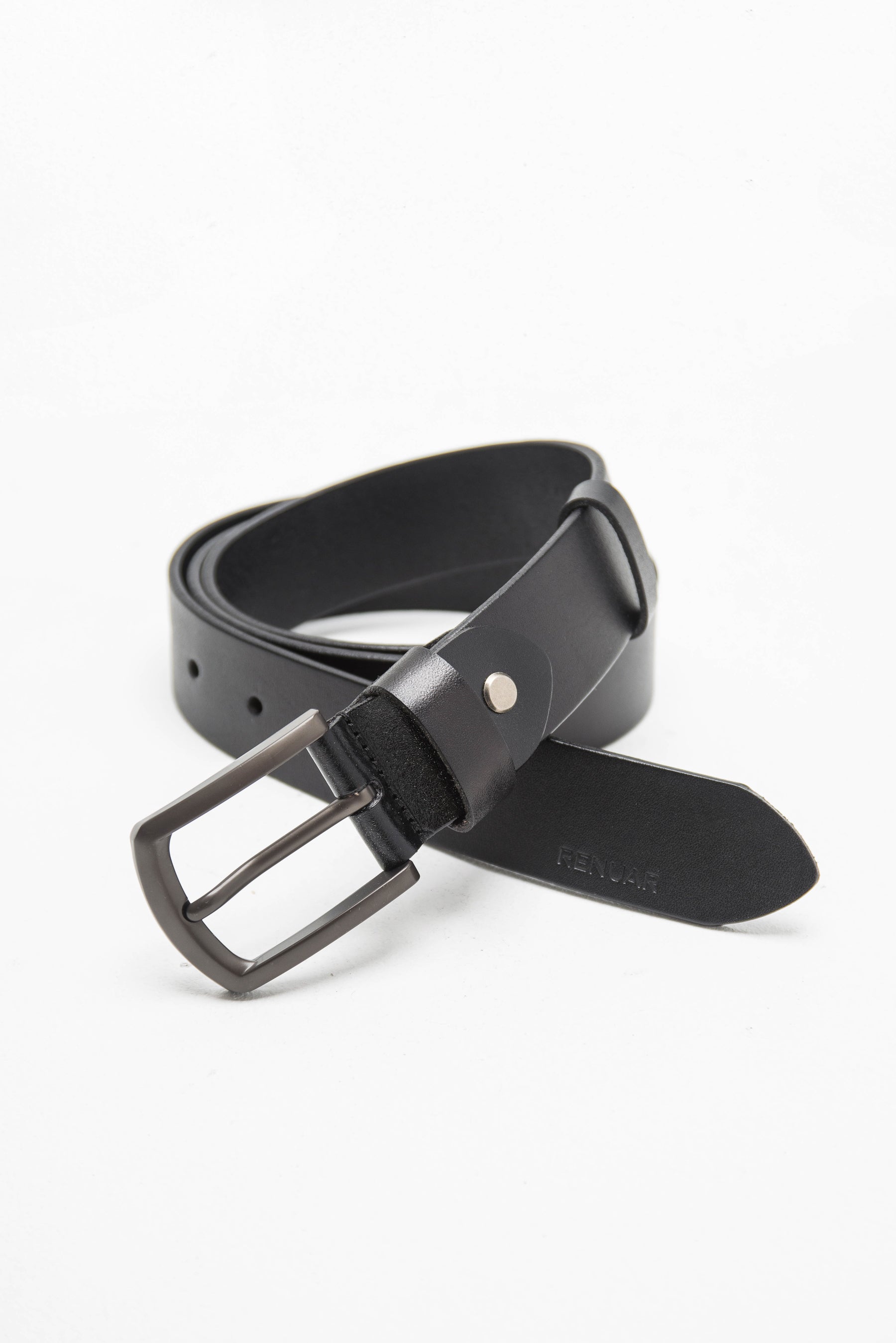 חגורת הדסון