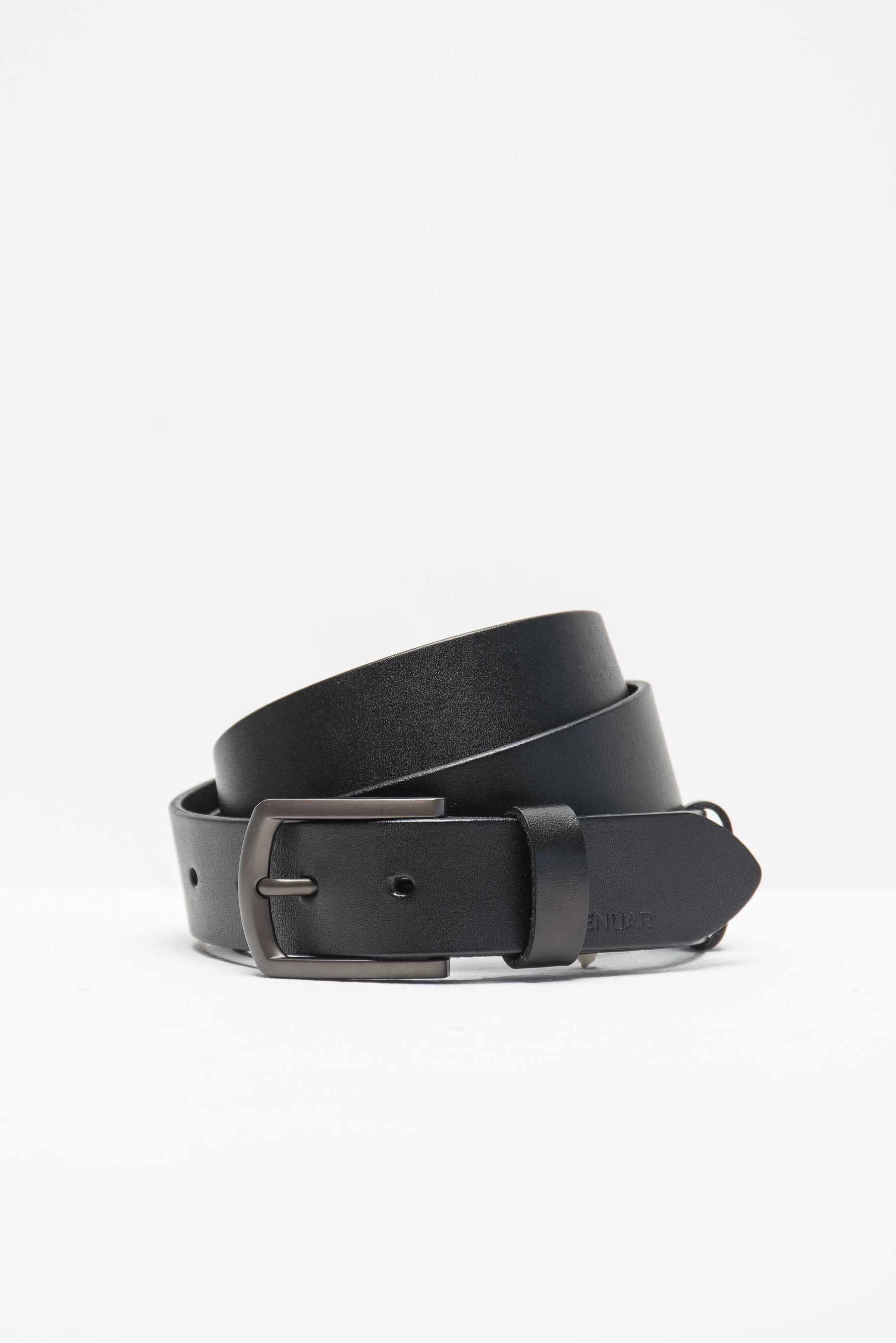 חגורת הדסון