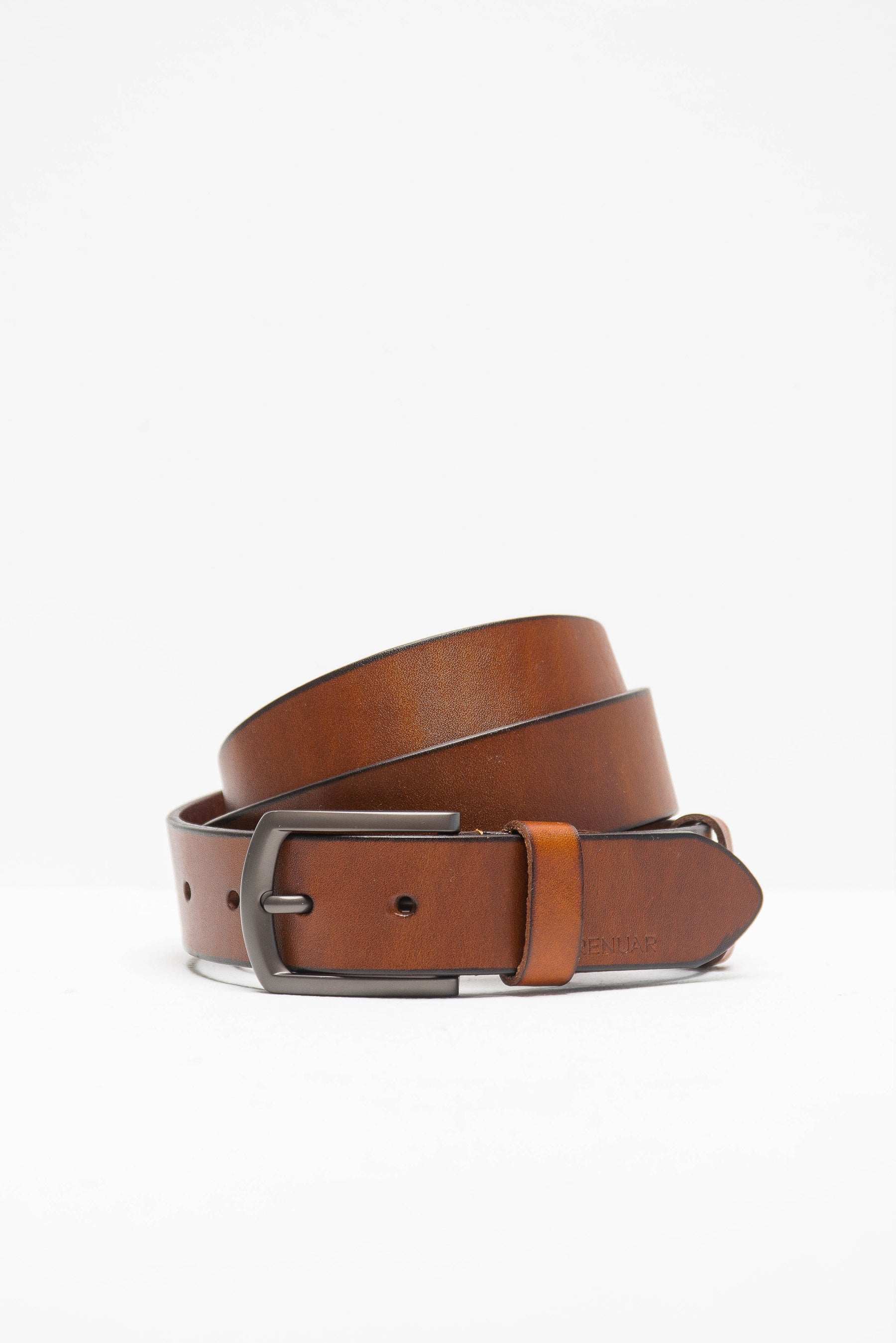 חגורת הדסון